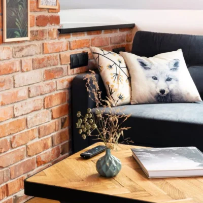 Aranżacja Salon z Starą Cegłą Rozbiórkową Naturalna